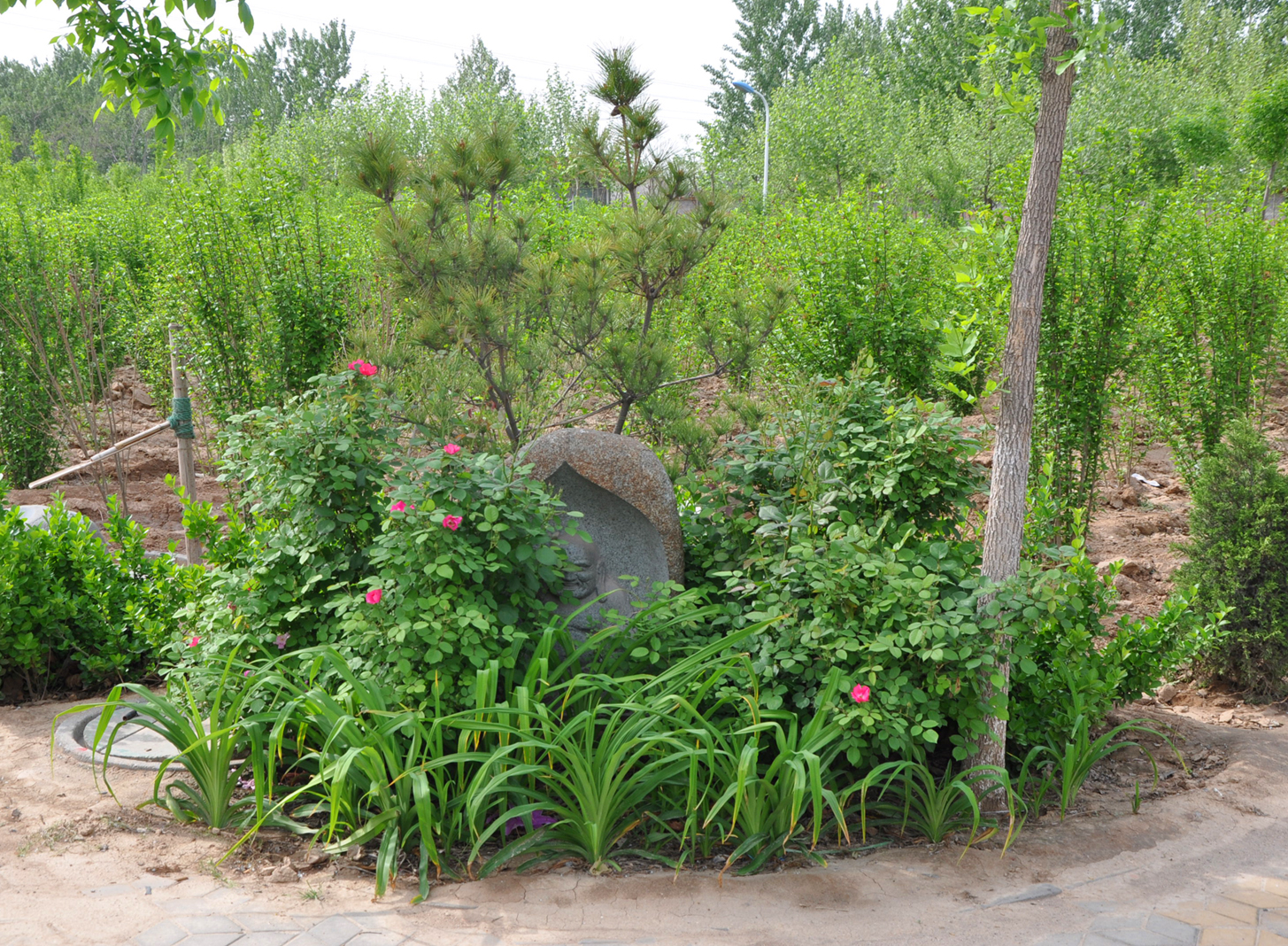 福山陵园景点风采--冬季-德州市福山陵园