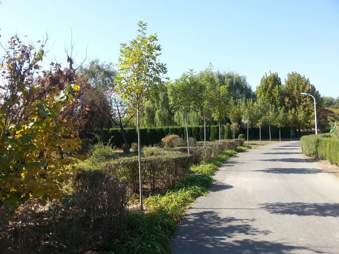 webwxgetmsgimg (17).jpg