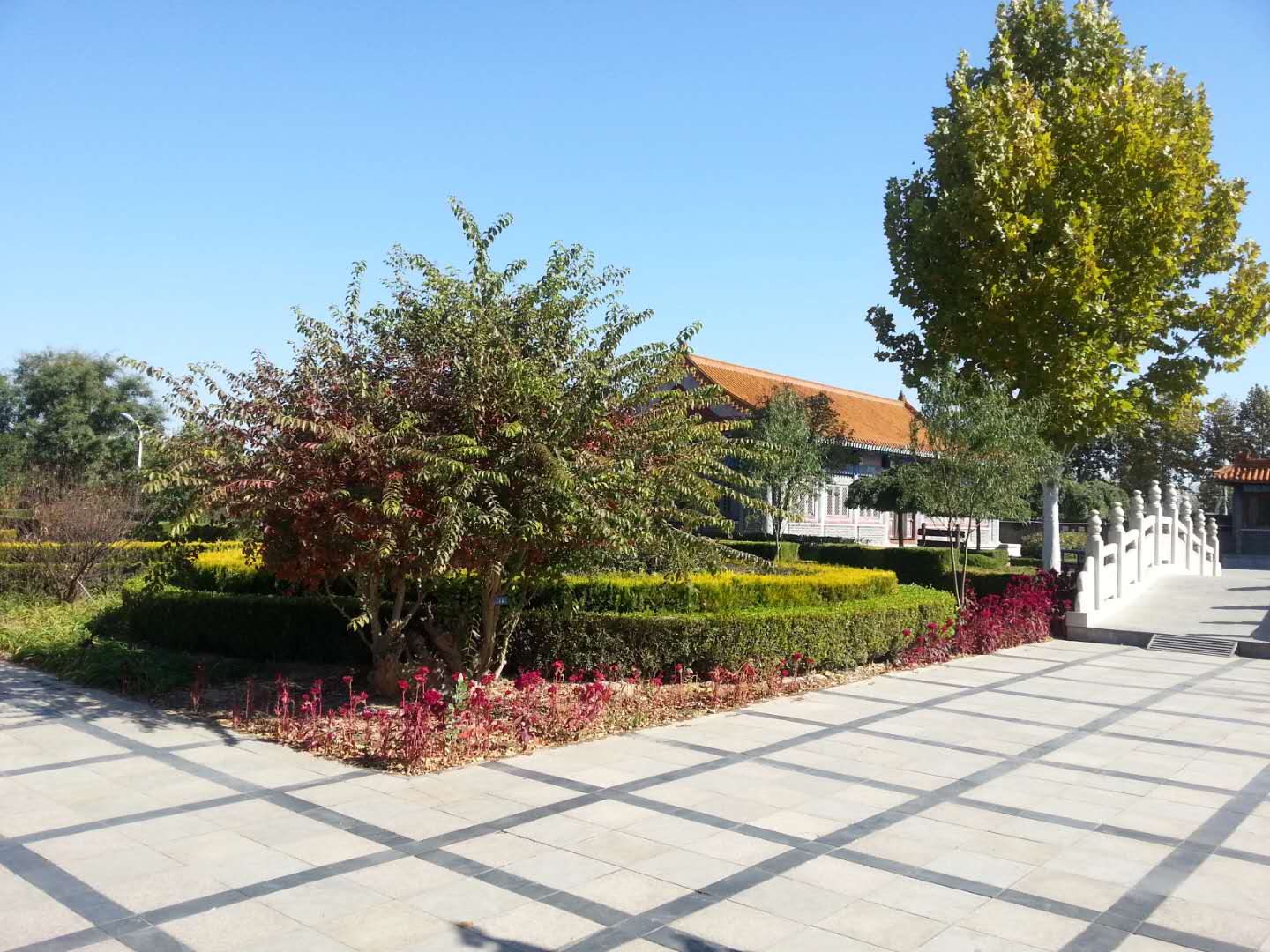 webwxgetmsgimg (2).jpg